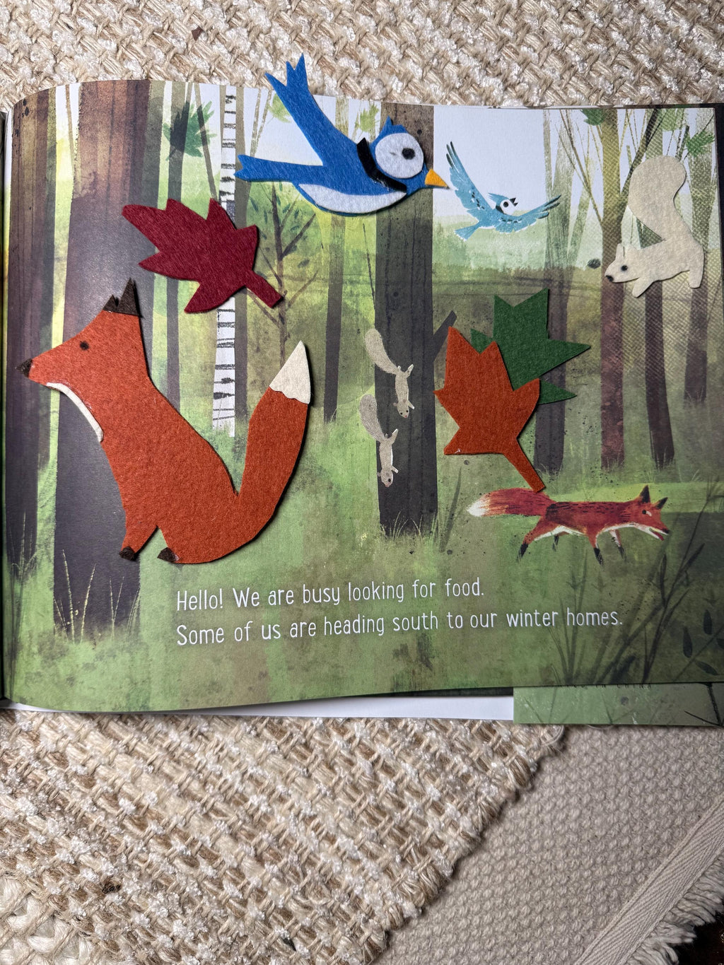 Goodbye Summer Hello Autumn felt story set